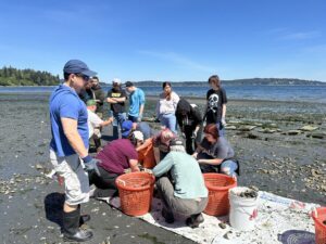 IBSS and Bonney Lake High School (BLHS) culinary students shucking oysters.